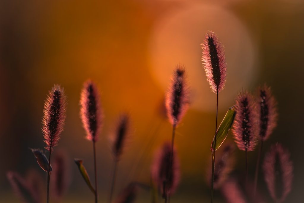 Onbekende oproepen: wat betekent een telefoontje van +31 10 808 01 77?